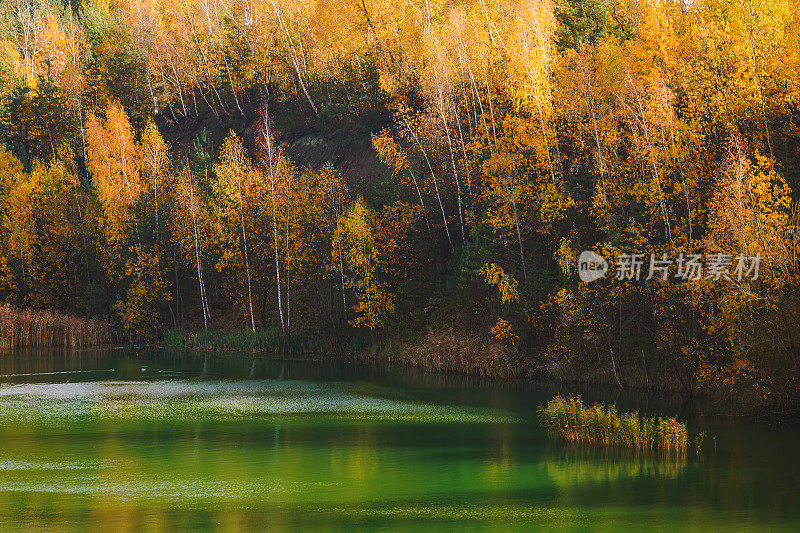 湖水碧蓝。池塘。秋天的自然背景。黄色的秋叶。美丽的大自然。精灵森林。阳光灿烂的日子