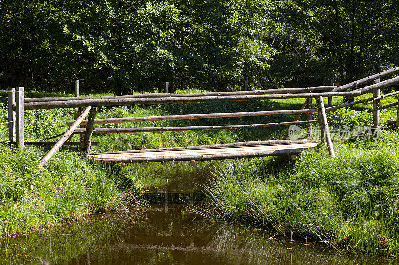 森林中的老木桥，穿过一条小溪