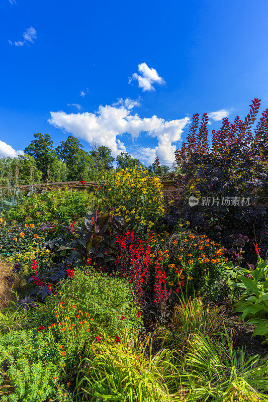 夏花围墙花园，花花绿绿的植物园艺界