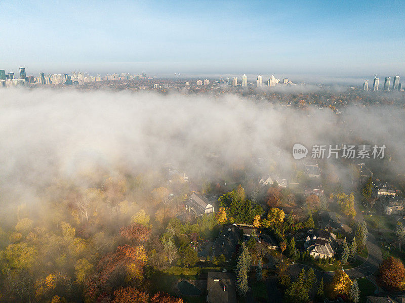 以市中心为背景的多伦多秋雾