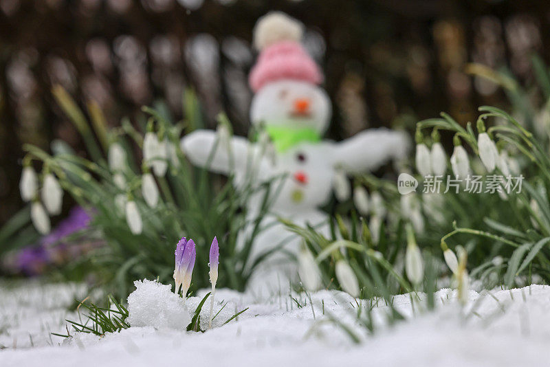 背景中的雪人