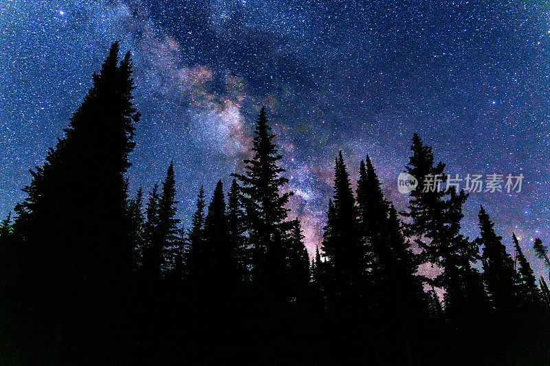 夜晚的银河与黑暗天空中的树木