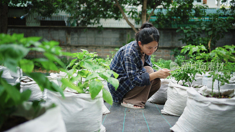 一位农场女工用她的数字平板电脑检查她的植物，并检查花园里作物的信息。