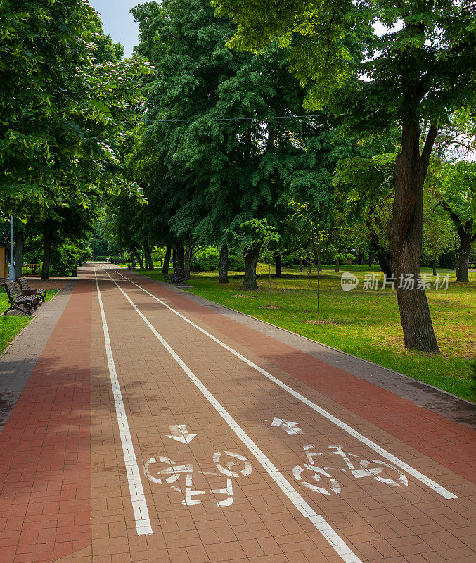 在公园或城市花园的小巷里用白色油漆作道路标记的自行车道