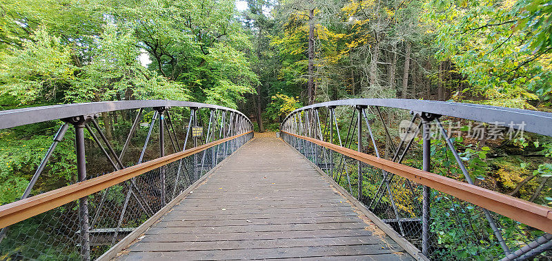 沃特金斯格伦州立公园横跨峡谷的人行天桥