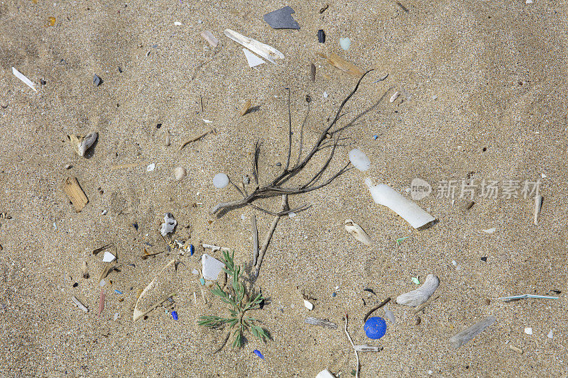 石头和贻贝碎片堆积在海滩上