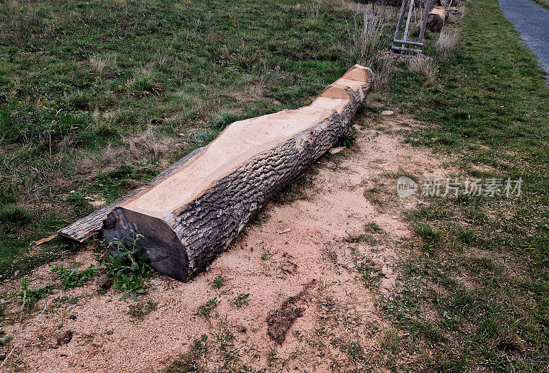 用自然公园里一棵砍下来的树的一根原木雕刻而成的长凳树干。巨大的树干。它是一种厚重的木质产品，具有自然、耐用的外观。昆虫生态避难所