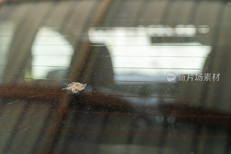 鸟屎落在一辆蓝色汽车的后挡风玻璃上。