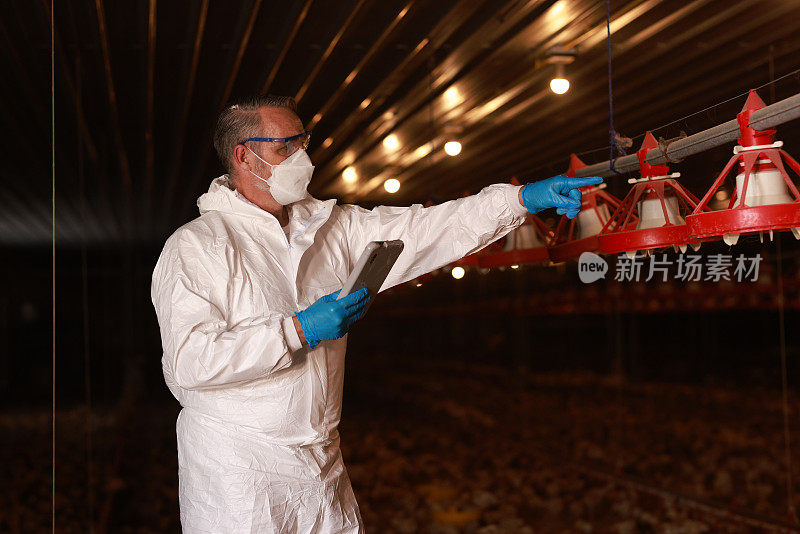 一名在家禽养鸡场工作的男兽医拿着一台数码平板电脑，用来检查喂鸡的食物质量