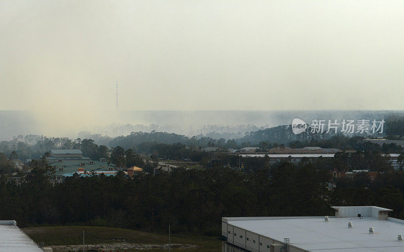 鸟瞰图:佛罗里达州北港市严重燃烧的野火。旱季发生在丛林中的自然灾害
