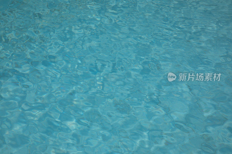 详细的蓝色波浪游泳浴池设计衬里顶视图游泳池与蓝色的水