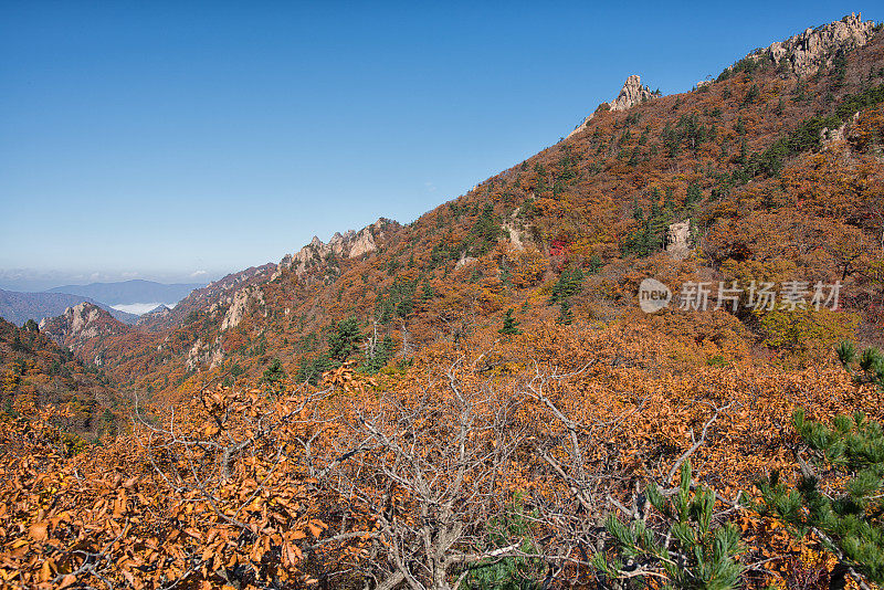 秋公勇岭在雪山山