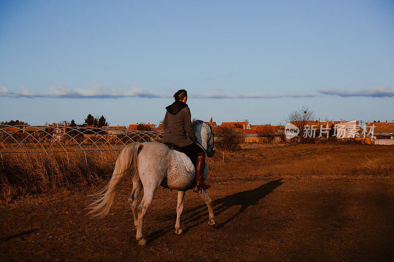 女人与马