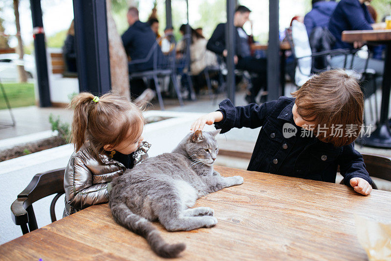 孩子们在咖啡馆和猫玩。孩子和宠物。