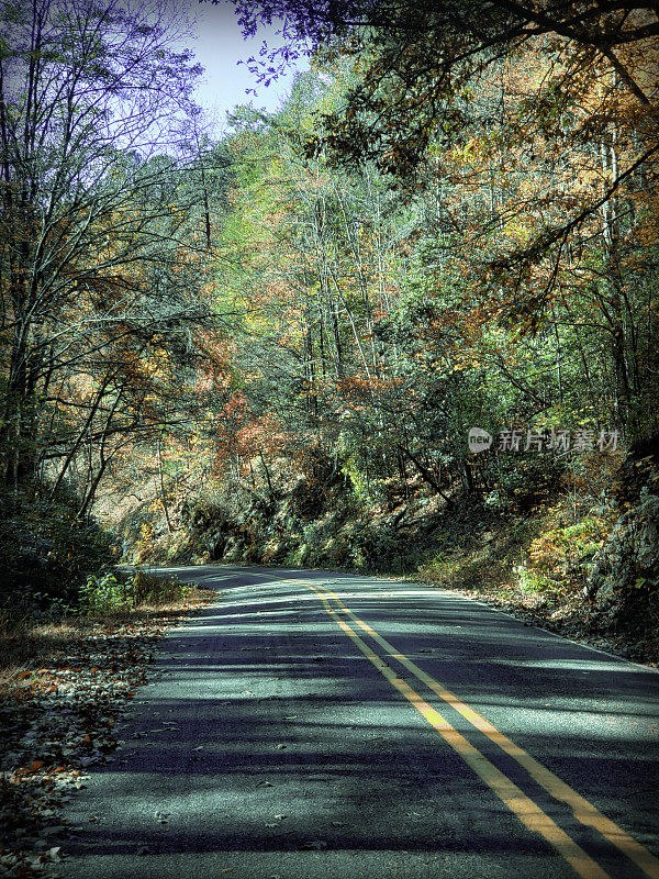 穿过秋天的阿巴拉契亚山脉的道路-蓝绿色，橙色