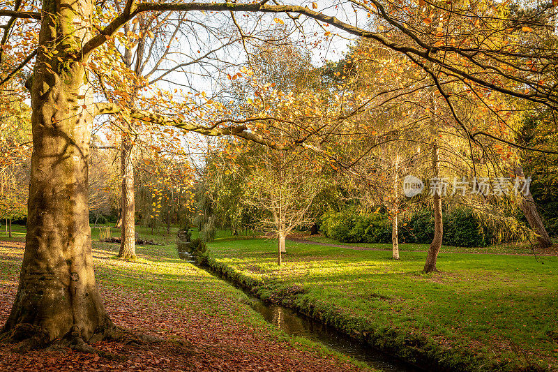 伯恩茅斯花园的秋叶小径