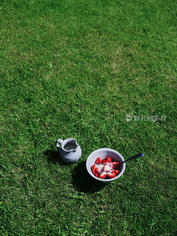 在一个阳光明媚的夏日，一碗草莓和奶油放在花园草坪上。