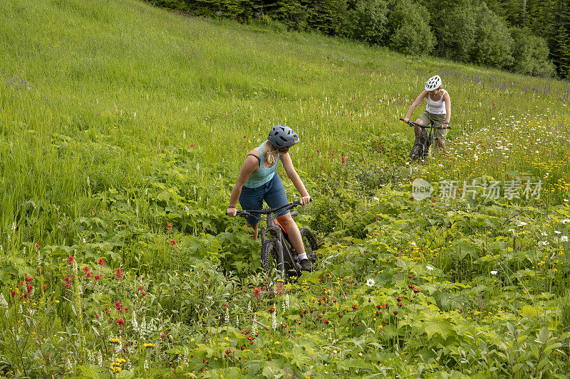 女性山地电动自行车骑过草地上的野花