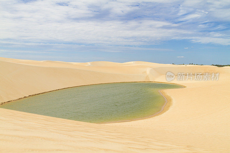 绿松石绿色，翠绿的雨水湖泻湖在一个金黄的沙丘在Jericoacoara，巴西