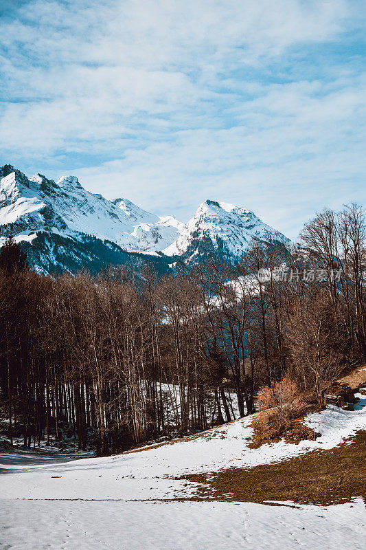瑞士格林德沃第一的树木线和雪域牧场