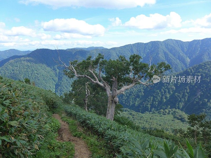 白山(白山，白山国家公园，日本100座名山)