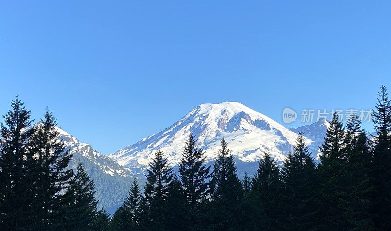 雷尼尔山