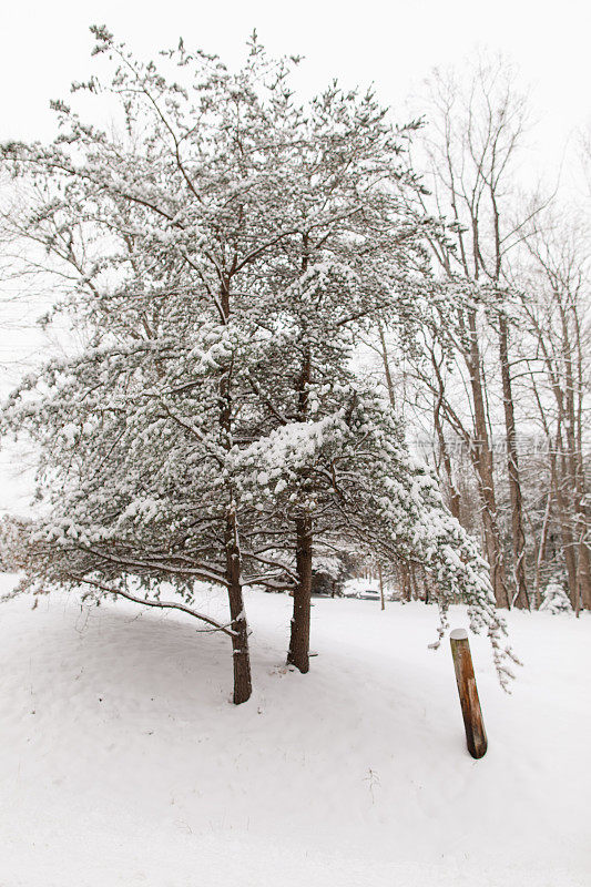 2020年，俄亥俄州杰克逊的冬日仙境，在家里过一个舒适的白色圣诞节