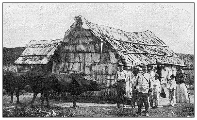 古色古香黑白照片:古巴棕榈叶制作的小屋
