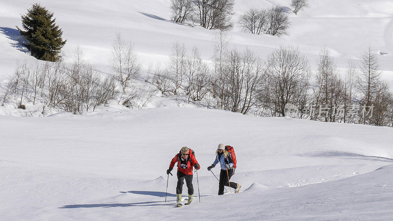 成熟的情侣在野外滑雪爬雪坡