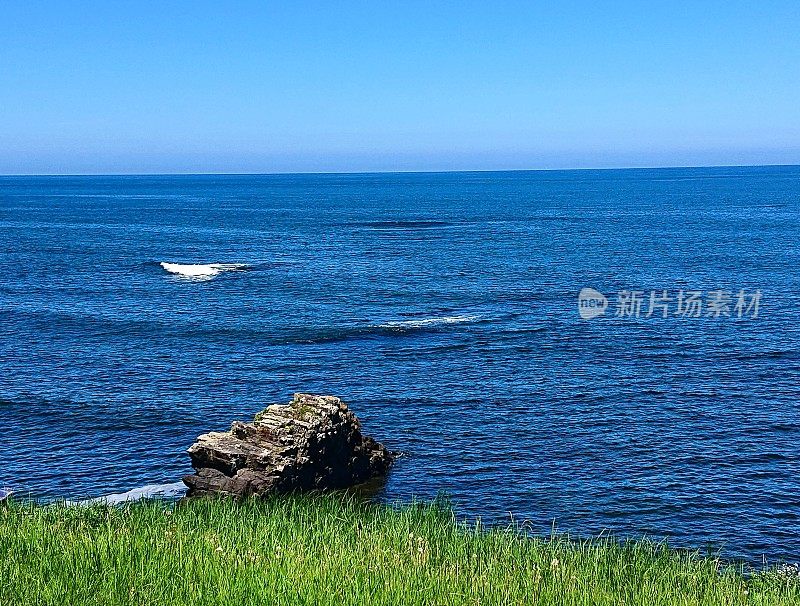 日本。8月。福井海滨地质公园的奇异悬崖。