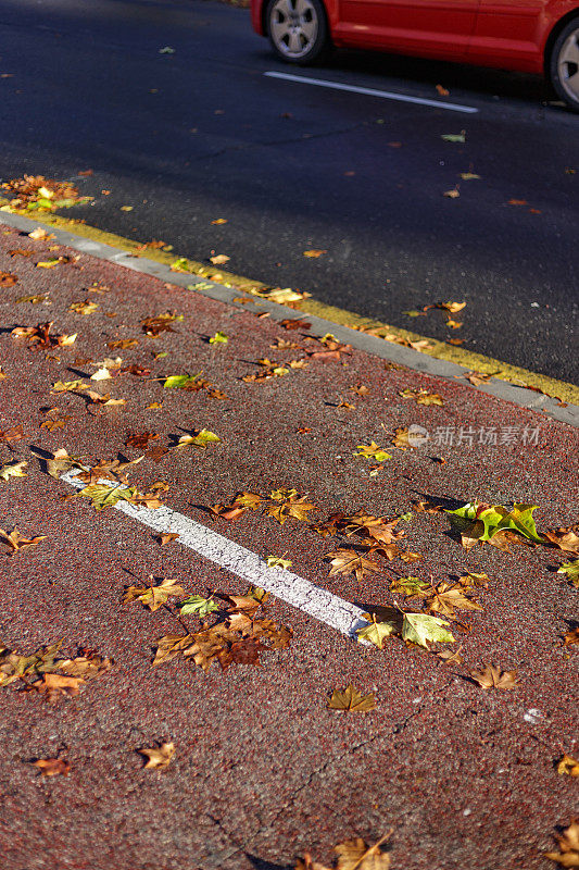 秋天的早晨，自行车道上的落叶。背景是道路和红色汽车。Alcorcon,马德里,西班牙。