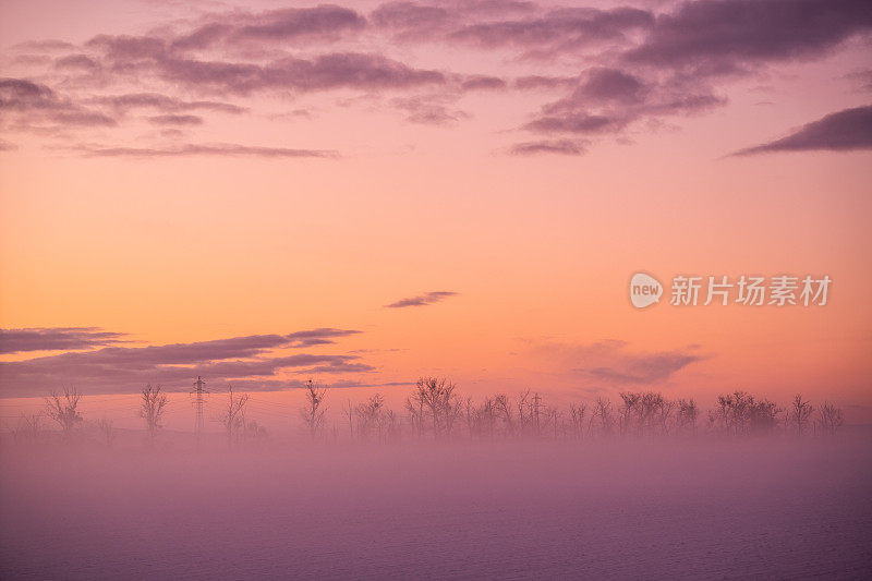 在寒冷的冬天，乡村景色被浅粉色的晨雾所笼罩