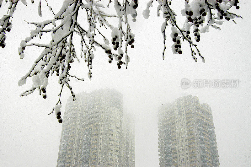 迪克门山谷的降雪