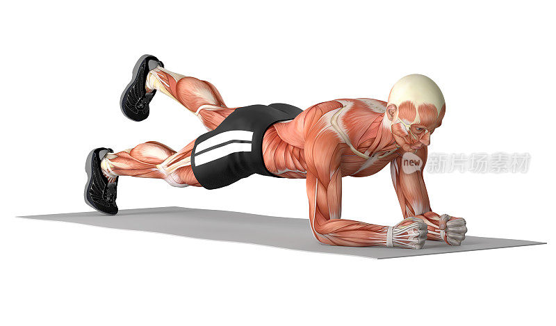 插图3D一个健康的人，做平板支撑腿锻炼