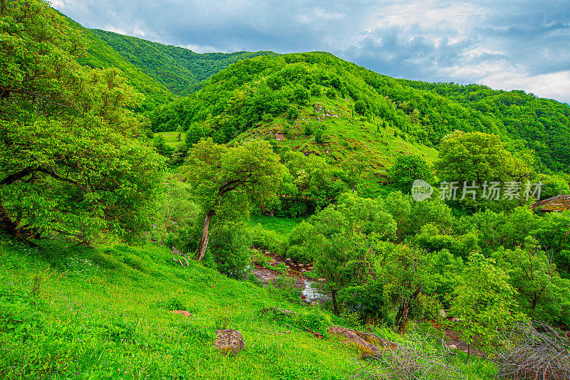 美丽的小溪在斯塔拉平原山脉的山丘，科瓦尼多尔