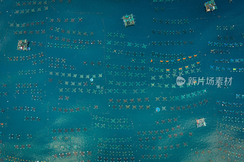 汉仁海滩的龙虾养殖场