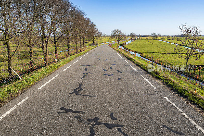 这条公路位于荷兰南荷兰省的乡间
