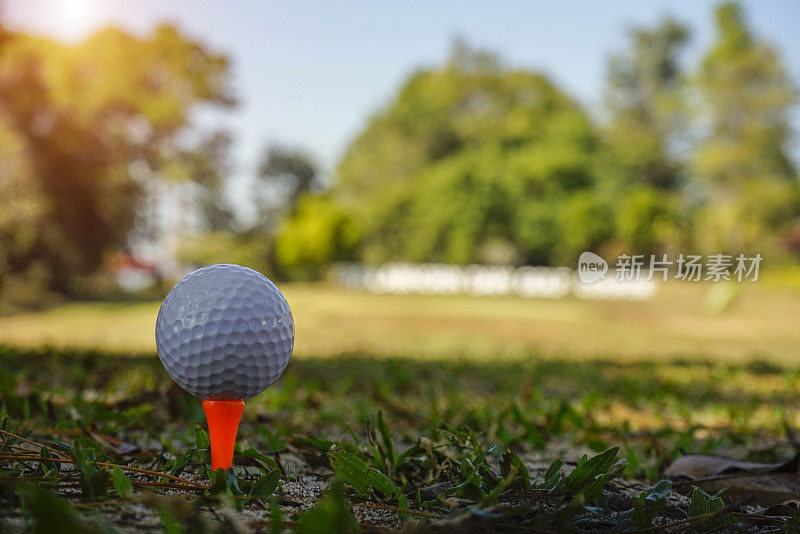高尔夫球在发球台准备击球，高尔夫球员在绿色的草坪背景上