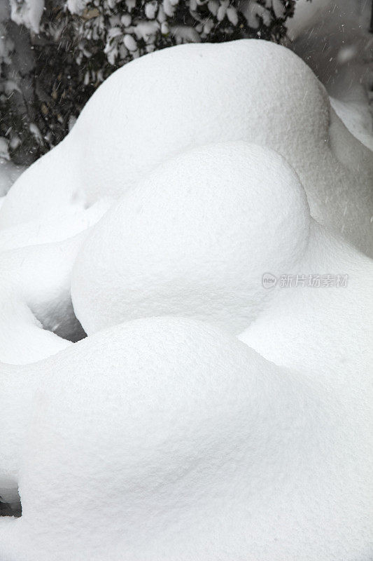 光滑的雪表面与小凸起的树