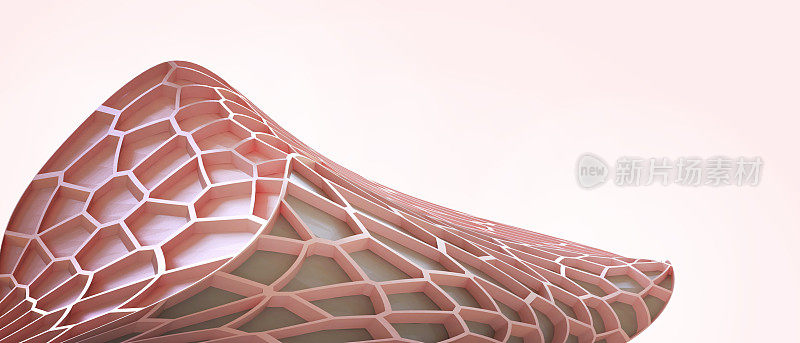 Voronoi结构立面和建筑屋顶的生物科学和技术的概念。互联网，连接，网络，访问，无线数据，协调，横幅，网站三维渲染