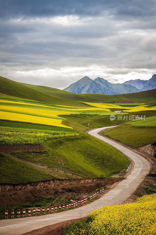 乡间小路