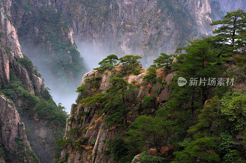 黄山西海峡谷013