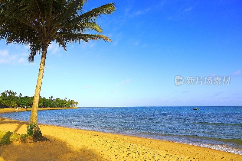 天堂:Trancoso田园诗般的热带海滩，巴伊亚州，巴西东北部