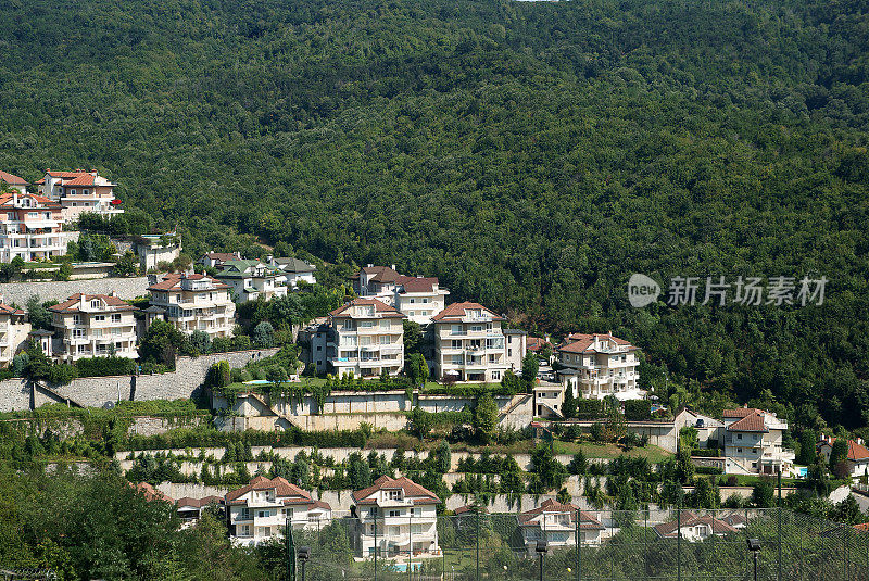 森林破坏