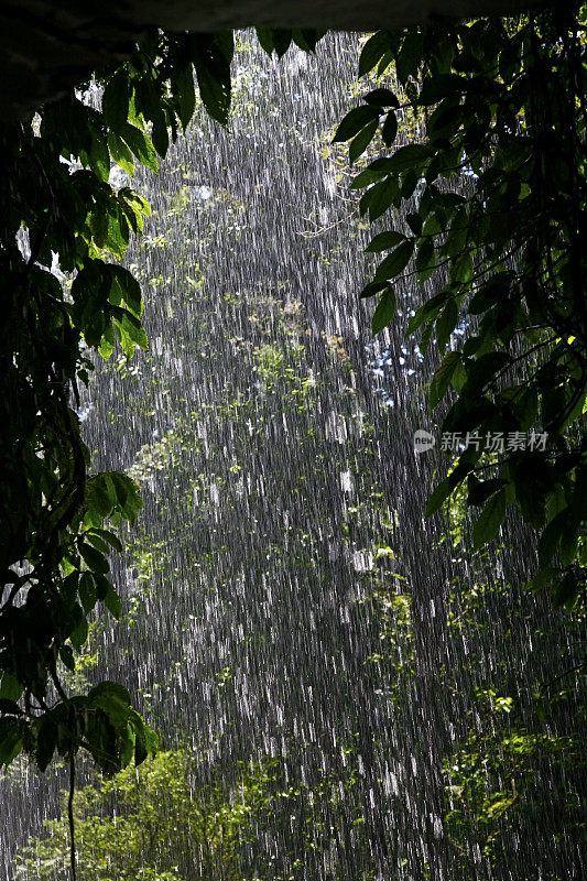 在冈瓦纳热带雨林凉爽清澈的水后面