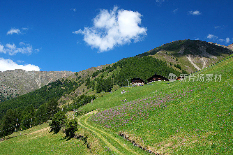 山风景