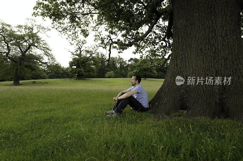 一个人坐在老树下的草地上