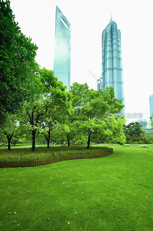 上海CBD前的绿色草坪