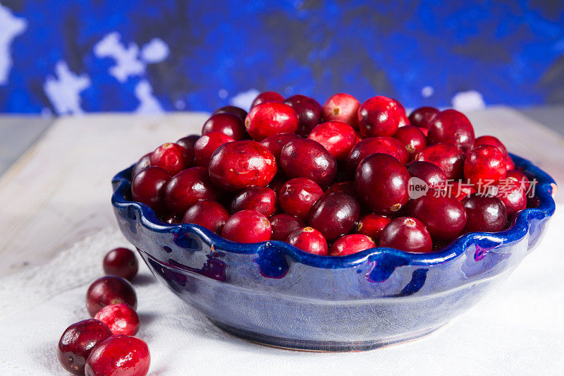蓝色的碗里装着新鲜的蔓越莓。成熟的大果越橘，也有大的蔓越橘，美国蔓越橘或熊果。