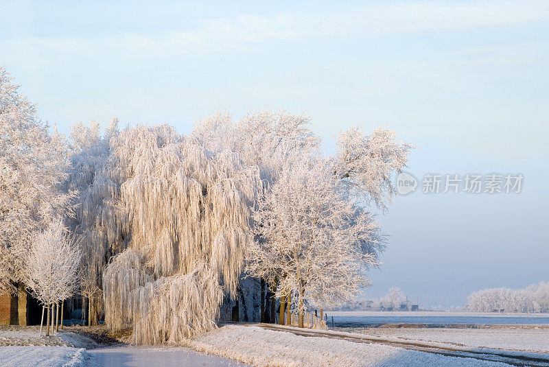 冬天的场景